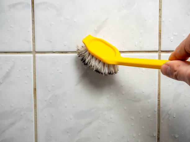 Best Emergency Mold Remediation in Jefferson, WI